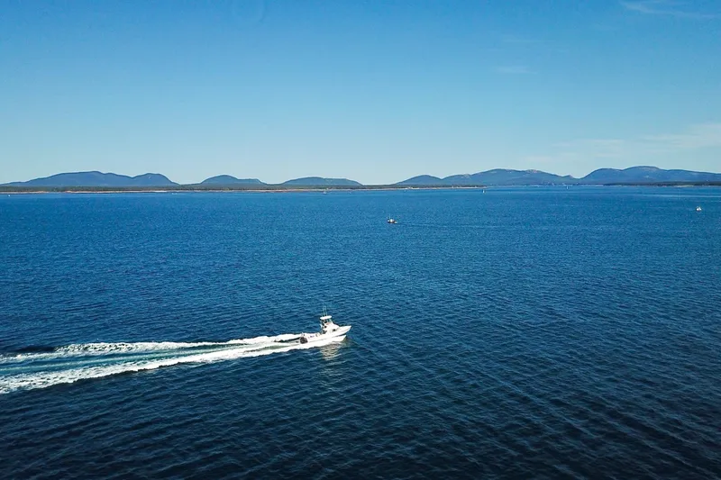Slide: The Image of A 1973 Bertram 31 Flybridge Cruiser speeds across a vast blue ocean under a clear sky. - 16
