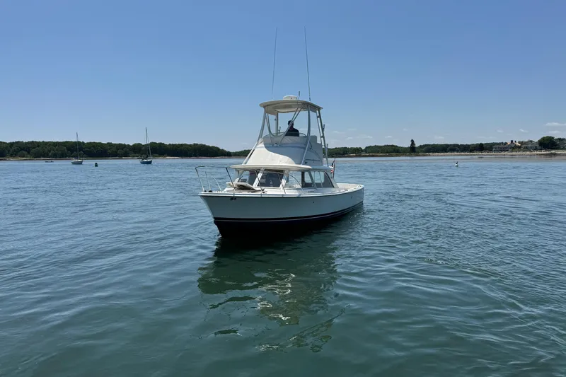 Slide: The Image of 1973 Bertram 31 Flybridge Cruiser on calm water, clear sky background. - 18
