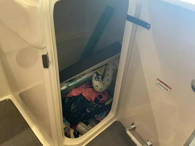 Slide: The Image of Sea Ray SPX 230 Bowrider 2019 - 12