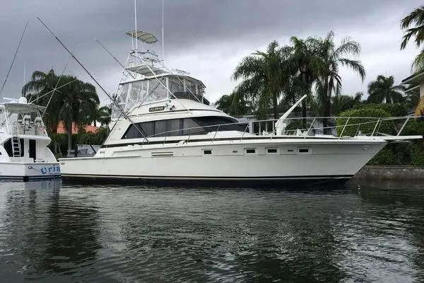 Slide: The Image of Bertram Sportfish 1982 - 0