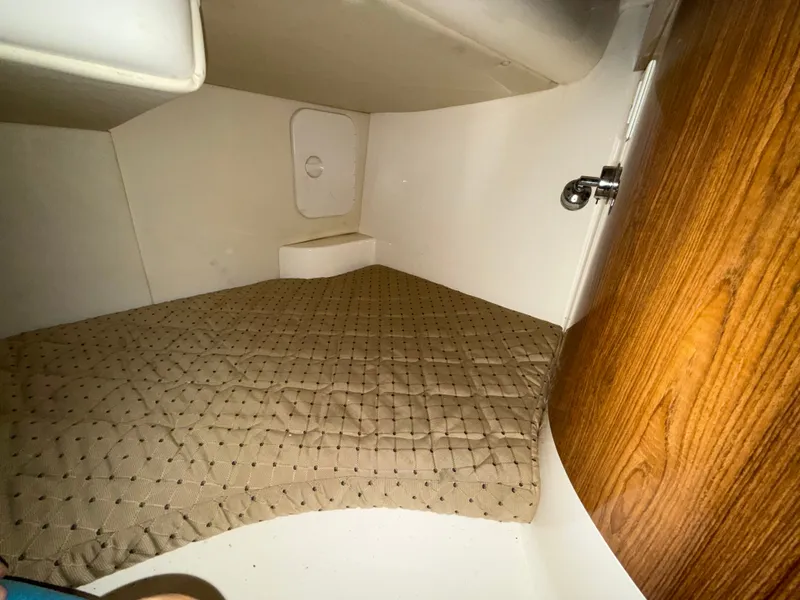 Slide: The Image of Interior of 2008 Pursuit OS 285 Offshore with cushioned bed. - 14