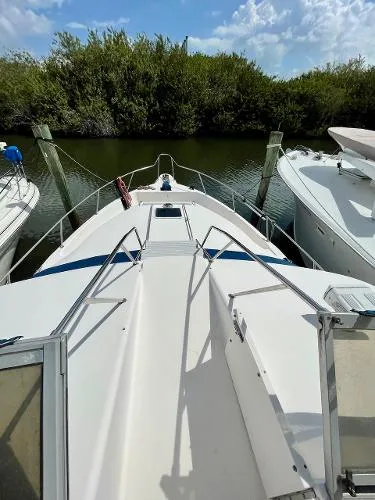 Slide: The Image of Sea Ray 440 Express Bridge 1995 - 6