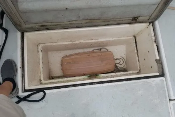 Slide: The Image of Albin Sportfisher 32 1989 - 3