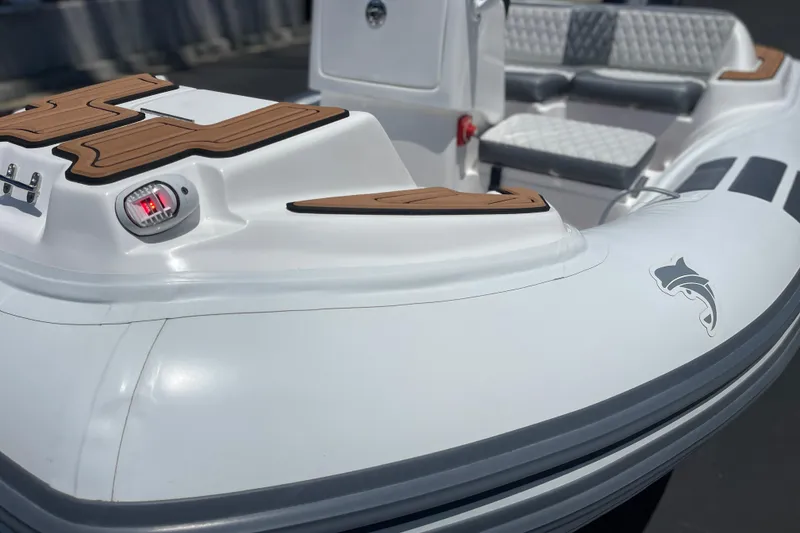 Slide: The Image of 2025 Caribe DL11 boat with sleek design, dolphin logo, and cushioned seating. - 25