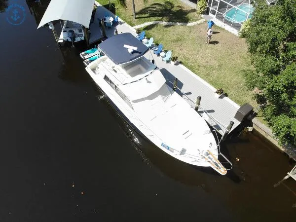 Slide: The Image of Hatteras Convertible Sportfish 1981 - 1