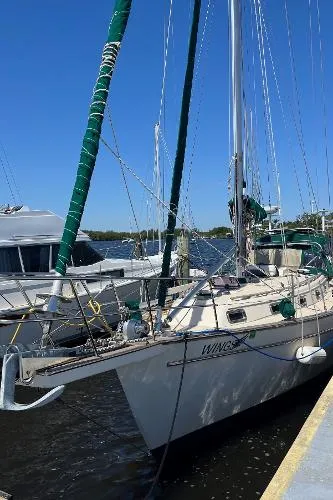 Slide: The Image of Island Packet 38 1988 - 2