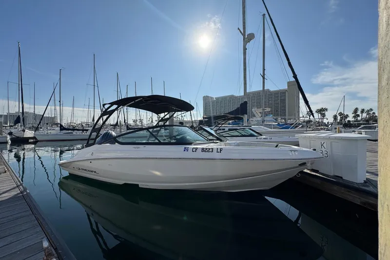 The Image of 2024 Regal 21 OBX boat docked in a sunny marina with sailboats. - 1