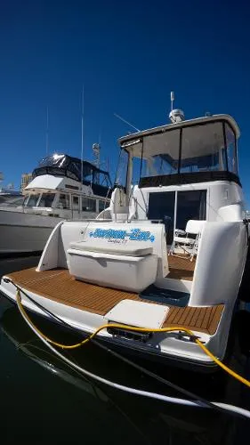 Slide: The Image of Meridian 459 Motor Yacht 2008 - 4