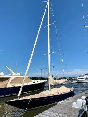 Slide: The Image of Leonardo Eagle 44 2019 - 1