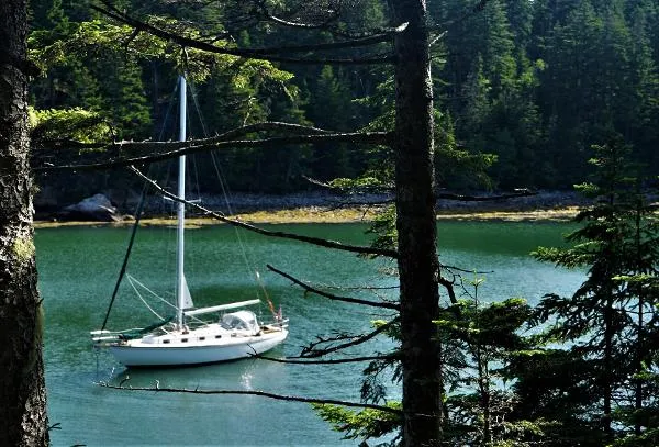 Slide: The Image of Cape Dory 36 1983 - 6