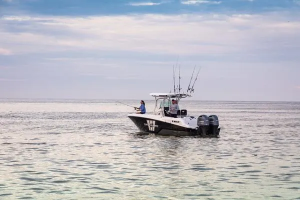 Slide: The Image of Wellcraft 262 Fisherman 2023 - 3