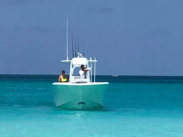 Slide: The Image of Yellowfin 36 2017 - 2