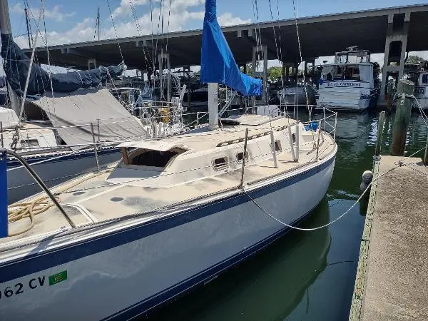 Slide: The Image of O'Day Sloop 1979 - 1