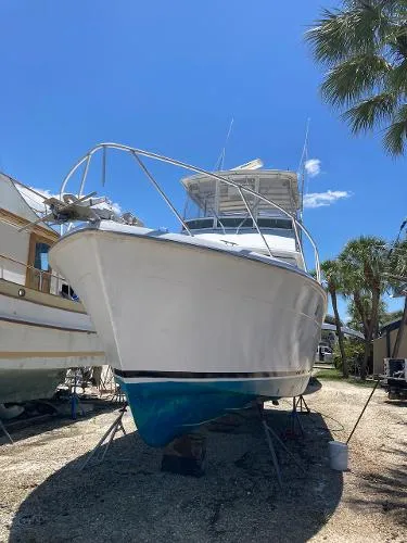 Slide: The Image of Trojan Sportfish 1978 - 2