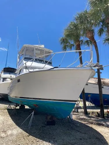 Slide: The Image of Trojan Sportfish 1978 - 3