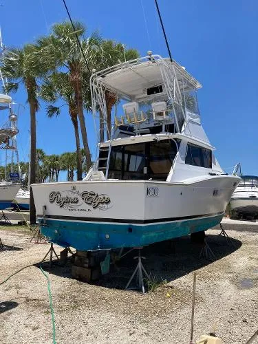 Slide: The Image of Trojan Sportfish 1978 - 4