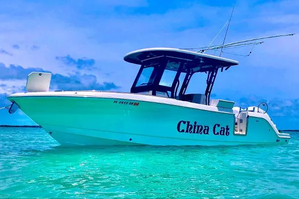 Slide: The Image of Robalo r272 2019 - 0
