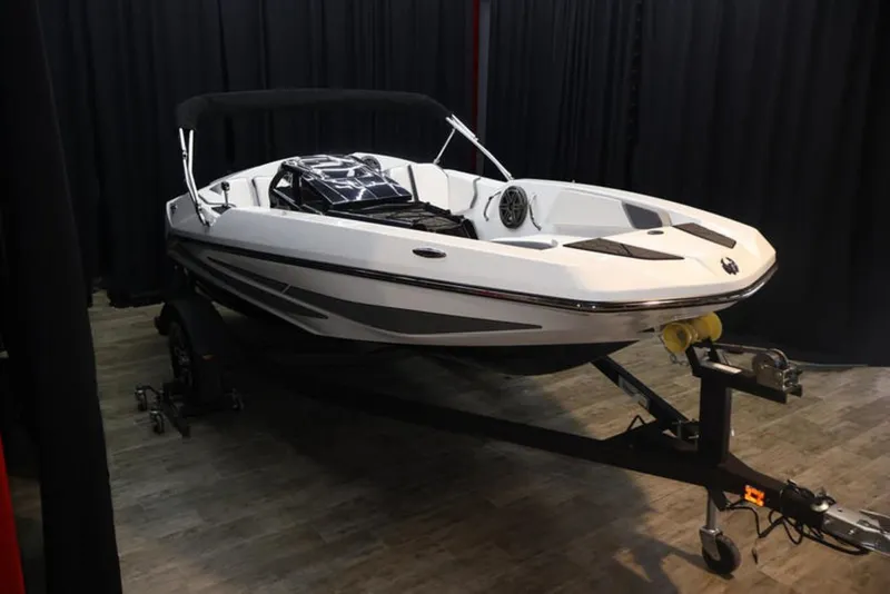 Slide: The Image of Scarab 165 ID 2024 - 0