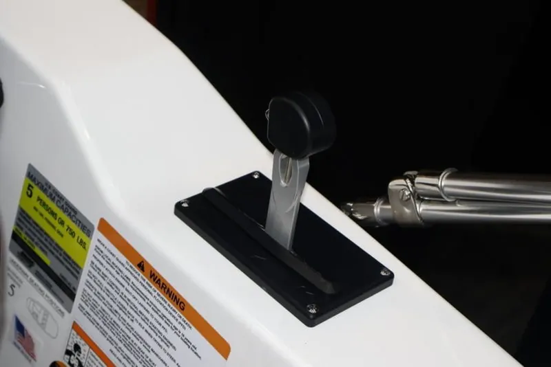 Slide: The Image of Scarab 165 ID 2024 - 11