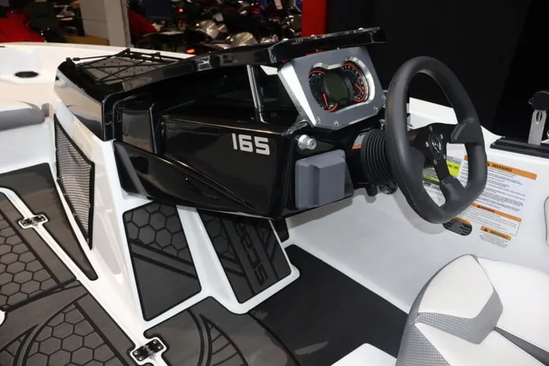 Slide: The Image of Scarab 165 ID 2024 - 12