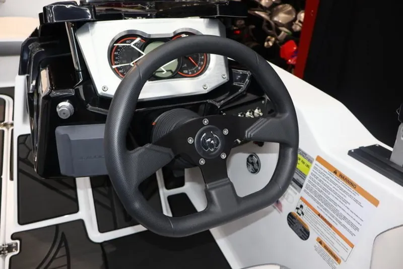 Slide: The Image of Scarab 165 ID 2024 - 13