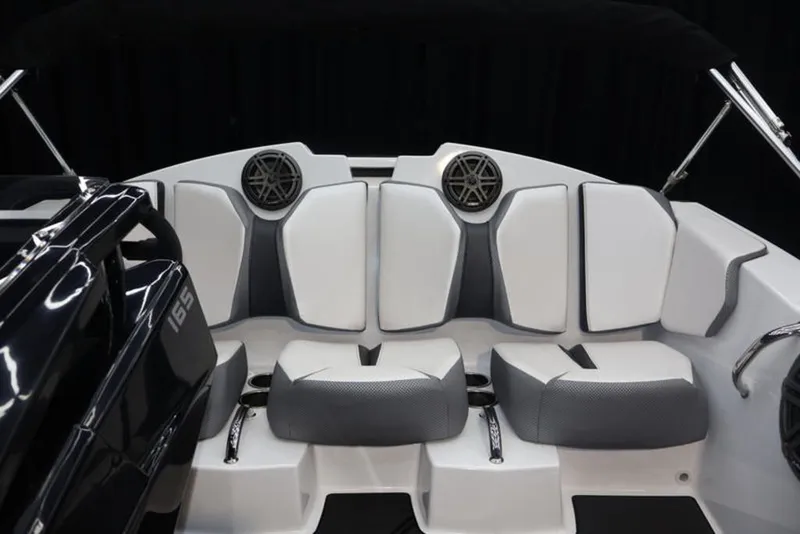 Slide: The Image of Scarab 165 ID 2024 - 15