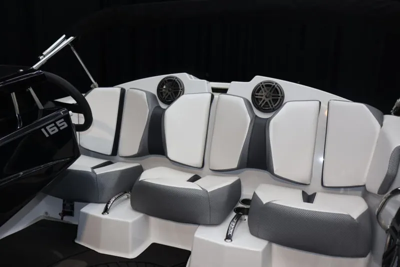 Slide: The Image of Scarab 165 ID 2024 - 16