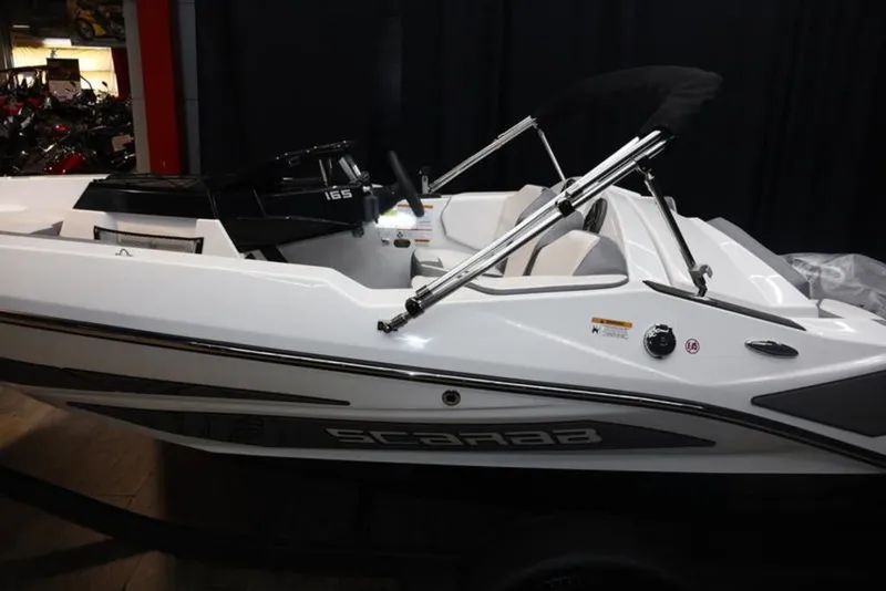 Slide: The Image of Scarab 165 ID 2024 - 3