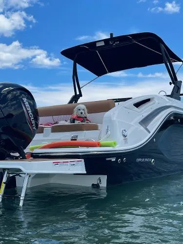 Slide: The Image of Bayliner DX2200 2021 - 3