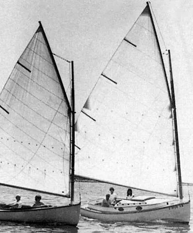 Slide: The Image of Marshall Sanderling 1981 - 8