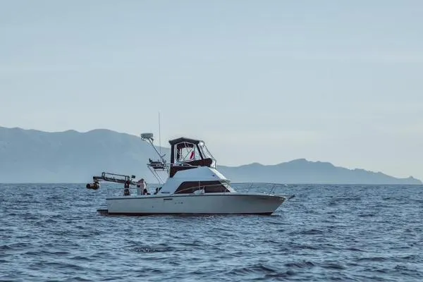 Slide: The Image of Phoenix Bass Boat 29 SFX Convertible 1998 - 1