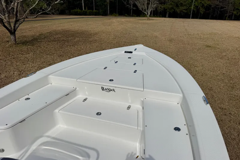 Slide: The Image of 2007 BlackJack 224 boat on grassy field, showcasing deck and storage compartments. - 10