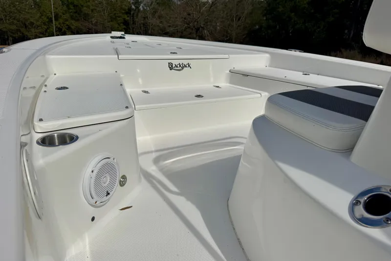 Slide: The Image of Interior view of a 2007 BlackJack 224 boat, featuring seating and speaker details. - 16