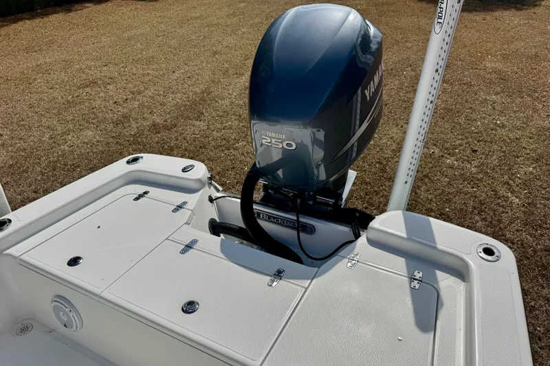 Slide: The Image of 2007 BlackJack 224 boat with Yamaha 250 engine on grassy background. - 5