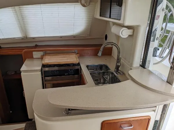 Slide: The Image of Leopard 40 2008 - 9