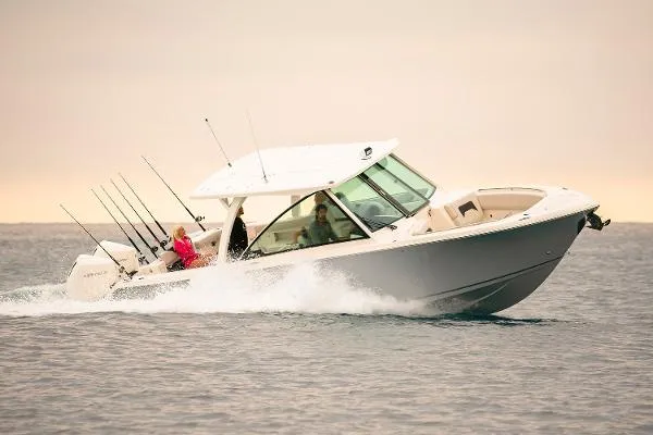 Slide: The Image of Sailfish 316 DC 2024 - 0