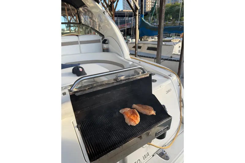 Slide: The Image of Grilling chicken on a 2005 Sea Ray Sundancer 320 boat, docked at a marina. - 53
