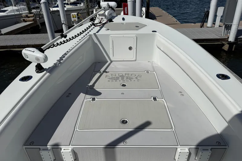 Slide: The Image of Andros 26 Tarpon 2023 - 59