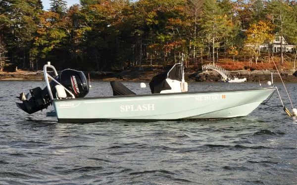 Slide: The Image of Boston Whaler MONTAUK 170 2020 - 0