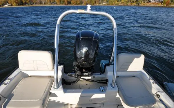 Slide: The Image of Boston Whaler MONTAUK 170 2020 - 10