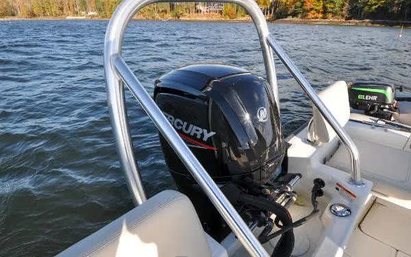 Slide: The Image of Boston Whaler MONTAUK 170 2020 - 11