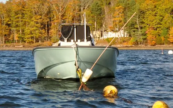 Slide: The Image of Boston Whaler MONTAUK 170 2020 - 2