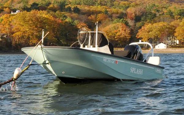Slide: The Image of Boston Whaler MONTAUK 170 2020 - 3