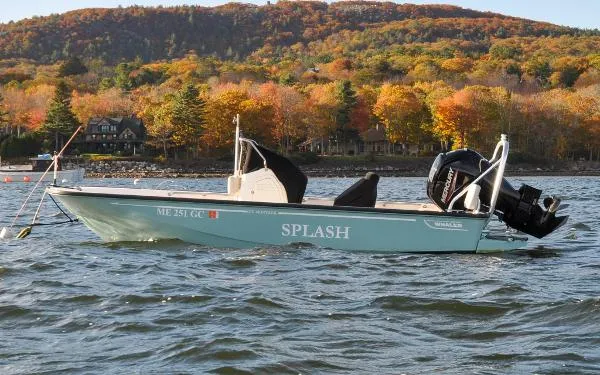 Slide: The Image of Boston Whaler MONTAUK 170 2020 - 4