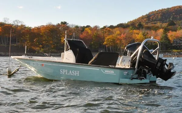 Slide: The Image of Boston Whaler MONTAUK 170 2020 - 5