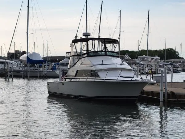 Slide: The Image of Bertram 33 Sport Fisherman 1988 - 1