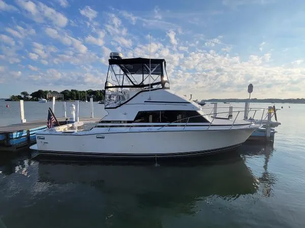 Slide: The Image of Bertram 33 Sport Fisherman 1988 - 2