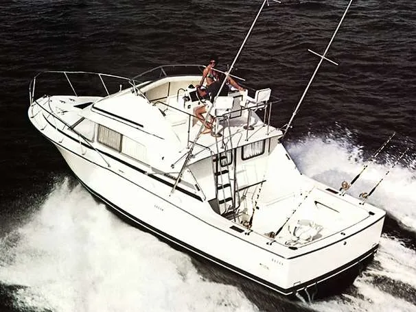 Slide: The Image of Bertram 33 Sport Fisherman 1988 - 7