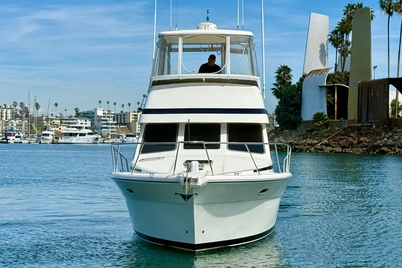 Slide: The Image of 1998 Riviera 34 Convertible yacht cruising in a marina with palm trees and buildings. - 5