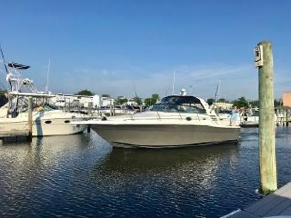 Slide: The Image of Sea Ray Amberjack 2001 - 1